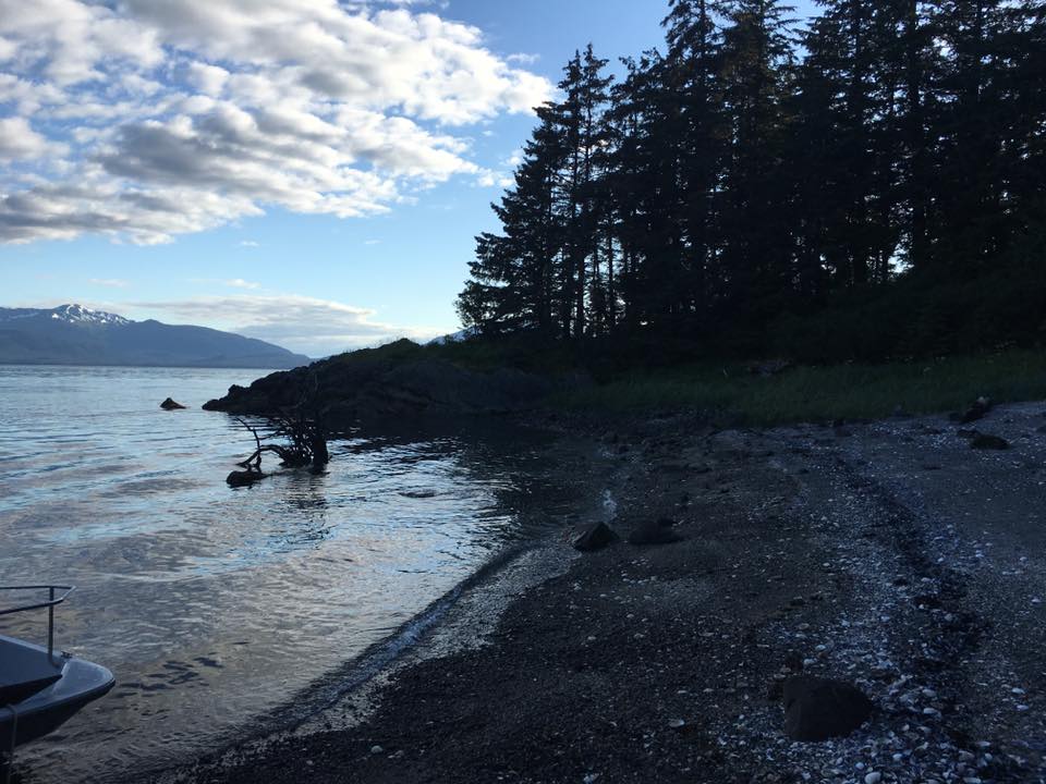 13423834_10210115319745598_6340826026864892906_n